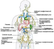 Біліарна гіпертензія гіпертензія