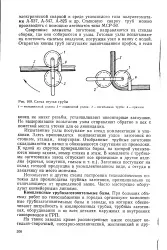 голямата