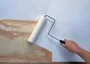 види
