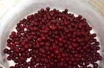 кісточкою