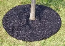 рекультивації