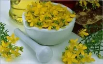 Чим корисна м’ята для чоловіків та потенції корисна