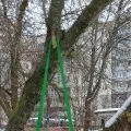 крижані