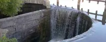 Село Прилепи Ізмалківського району Липецької області. ізмалківського