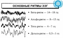 ЕЕГ головного мозку дитині мозку