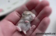 можна
