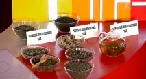 Олена Малишева Остеохондроз іде миттєво! Вражаюче відкриття в лікуванні остеохондрозу остеохондроз