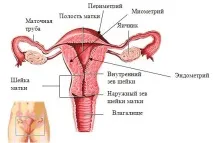 Ефективне лікування безпліддя безпліддя