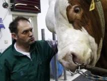 agroxxi