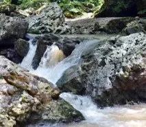води