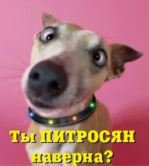 Питання початківців -РСР Повідомлень