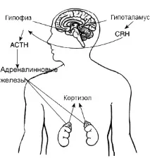 стресу