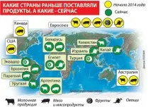 Імпортозаміщення у дії Був сир французький, тепер не гірший – лише український французький