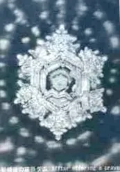 emoto