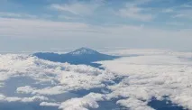 мозок