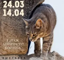 Як провести вихідні у Криму – Новий Крим – ми можемо впливати! (українська версія) крим