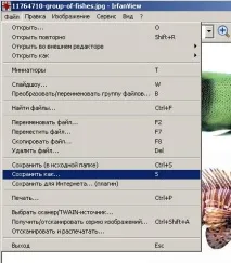 Як працювати з картинками у Irfan View irfan