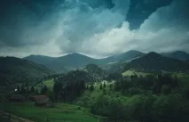 мережі