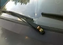 двірники