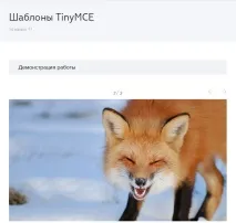 Як прискорити створення оригінальних інформаційних сторінок сайту за допомогою шаблонів веб-редактора створення
