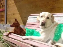 інших