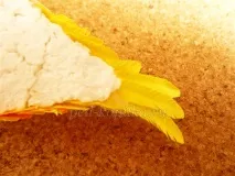 Картина в стилі квіллінг стилі