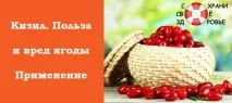 Кизил корисні властивості корисні