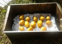 Копчення сала з картоплею картоплею