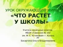 Конспект та презентація до уроку навколишнього світу - Що росте у школи - Навколишній світ - Початкові конспект