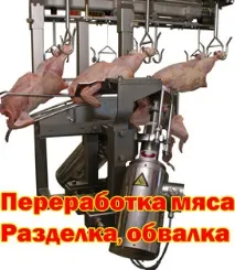годівниця