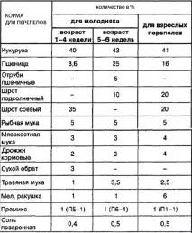 Корм для перепелів 3 рецепти комбікорму своїми руками (таблиця) корм