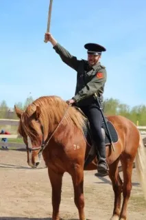 Кінний ринок років