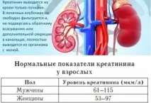 норма