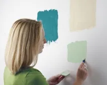 Фарба для стін та стель «Dulux» стель