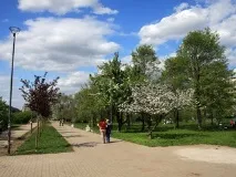 Куди піти, якщо ви опинилися в Купчино у Санкт-Петербурзі опинилися
