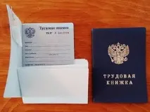 трудовій