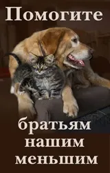 оцет