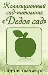 опалих