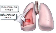 народни