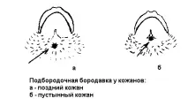 європейської