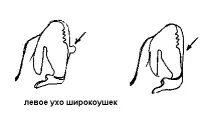 колишнього