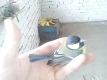 краще