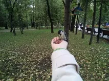 зверху