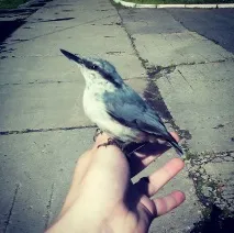 доплатою
