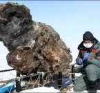 Мамонт» новий пошуковик у Рунеті - Мамонт Пошуковик Рунет пошуковик