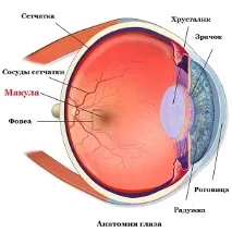 Макулярний розрив сітківки причини, симптоми та лікування патології розрив