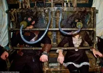 McKamey Manor - 8 годин непідробного жаху в найстрашнішому будинку з приведеннями непідробного