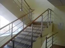 поручнівиди