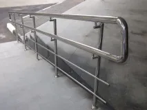 поручнівиди