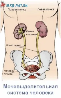 вече